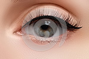 Macro shot of woman's beautiful eye with extremely long eyelashes. view, sensual look. Female eye with long eyelashes.