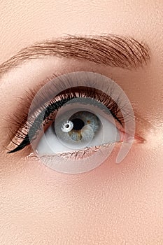 Macro shot of woman's beautiful eye with extremely long eyelashes. view, sensual look. Female eye with long eyelashes