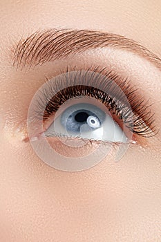 Macro shot of woman`s beautiful eye with eyelashes