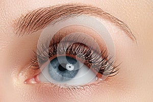 Macro shot of woman's beautiful eye with eyelashes. view, sensual look. Natural makeup. Macro shot of woman's beaut