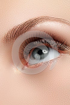 Macro shot of woman`s beautiful eye with eyelashes. view
