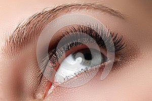 Macro shot of woman`s beautiful eye with long eyelashes