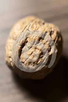 Macro of a single walnut in its shell on a rustic wooden surface,