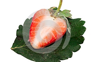 Macro Slices a half single red strawberry