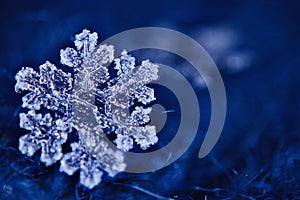 Macro snowflake crystal