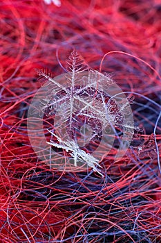 Macro snowflake crystals in a large increase