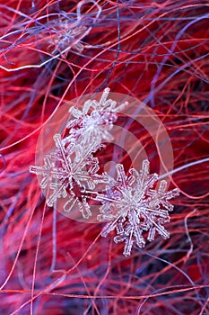 Macro snowflake crystals in a large increase