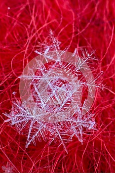 Macro snowflake crystals in a large increase