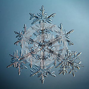 Macro snowflake ice crystals