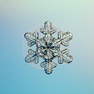 Macro snowflake ice crystals