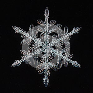 Macro snowflake ice crystals