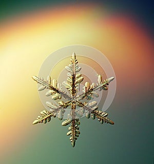 Macro snowflake ice crystals present