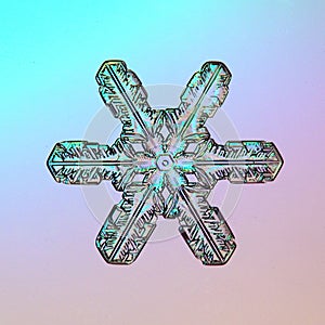 Macro snowflake ice crystals present natural