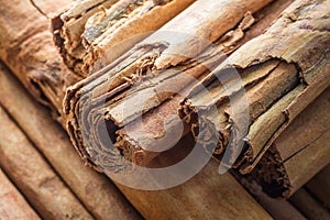 Macro, spices, natural Ceylon cinnamon, sticks, close-up