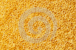 Macro sponge texture background