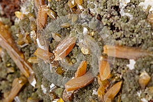 Macro stone Mimetite mineral on white background