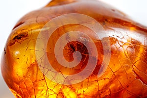 Macro stone mineral amber with insects, flies and beetles on a white background close up