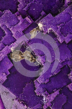 Macro stone mineral fluorite on a white background