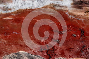 Macro stone mineral jasper on black background