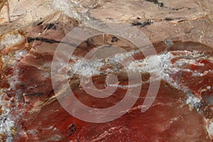 Macro stone mineral jasper on black background