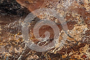 Macro stone mineral jasper on black background