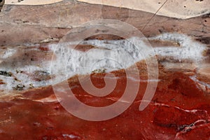 Macro stone mineral jasper on black background