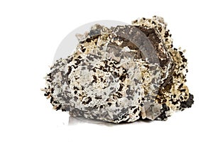 Macro stone Pyrite mineral in rock on a white background