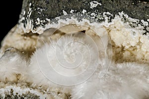 Macro stone Stilbite mineral on white black close up