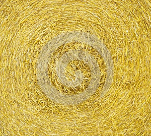 Macro straw texture, collected in a roll of hay in summer sunlight