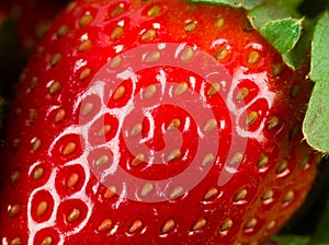 Macro of strawberry
