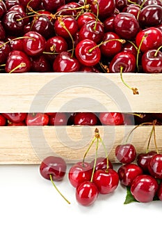 Macro of sweet cherries (Prunus avium) in wooden crate