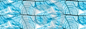 Macro texture of beautiful leaves in blue tones. AI generative illustration