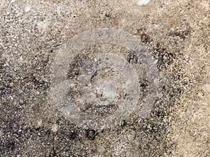 Macro texture - concrete - discolored pavement photo