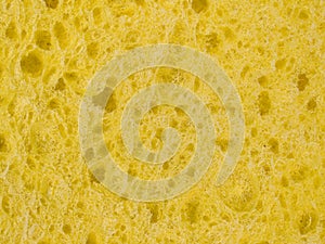 Macro texture - household - sponge