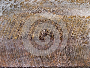 Macro texture - metal - rusted