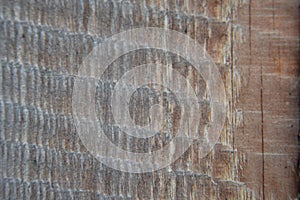 Macro texture of a rough wooden surface