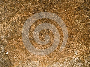 Macro texture - stone - mottled