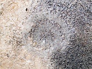 Makro textúra kameň strakatý skala 