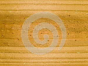 Macro texture - wood - grain