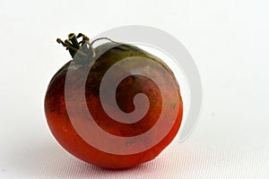 Macro of a tomato affected by blight disease, which is caused by bacterial or fungal infestations.