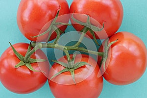 Macro tomatoes on the vine