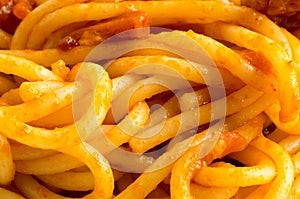 Macro view of the cooked spaghetti with vegetable sauce