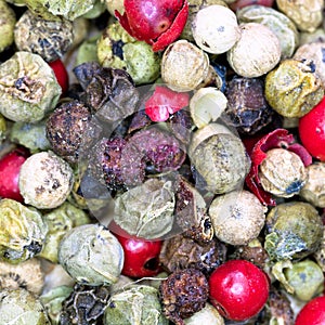 Macro view of diferent peppercorns