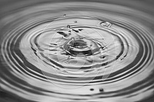 Macro view of falling drops on water surface isolated on black and white background
