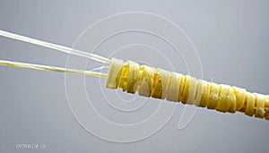 Macro View of a Fiber Optic Cable Connection