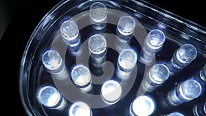 Macro view of lit LED lamps of a portable flashlight in perspective