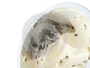 Macro view of molded cream cheese photo
