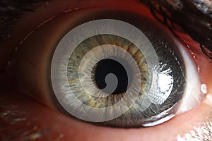 Macro view of open human eye, small pupil