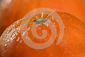 Macro View of Orange