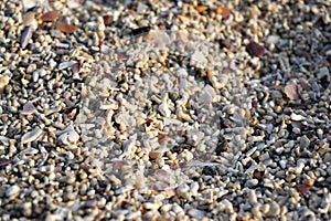 Macro view of pebbles on the beach.